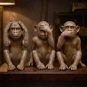  Figuras Decorativas de Design - Macacos - Sapiens image 7