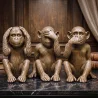  Figuras Decorativas de Design - Macacos - Sapiens image 7