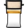 Cadeira de Jantar com Braços - Estofada em Veludo - Madeira e Rattan - Puila image 7