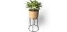 Vaso de Chão Redondo - Estilo Boho - Aventura image 7