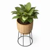 Vaso de Chão Redondo - Estilo Boho - Aventura image 7