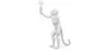 Lâmpada de Mesa - Lâmpada de Sala Macaco -  Resina image 7