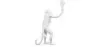 Lâmpada de Mesa - Lâmpada de Sala Macaco -  Resina image 7
