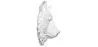 Decoração de Parede - Cabeça de Urso Branco - Uka image 7