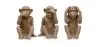  Figuras Decorativas de Design - Macacos - Sapiens image 9