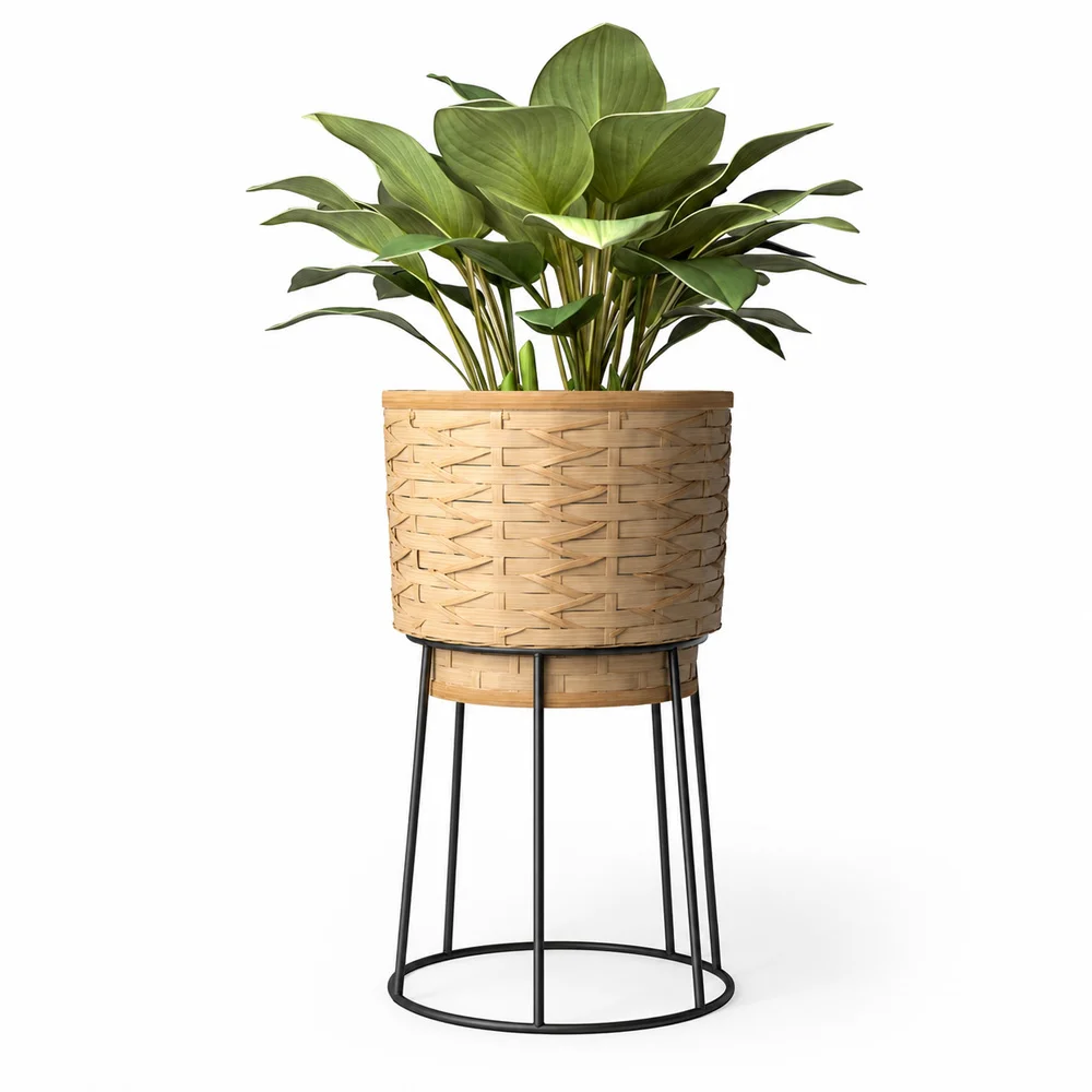 Vaso de Chão Redondo - Estilo Boho - Aventura image 8