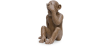  Figura Decorativa de Design - Macaco Cego - Sapiens image 7