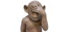 Figura Decorativa de Design - Macaco Cego - Sapiens image 7